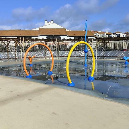 شقة T2 4 Pers Le Barcares Rdc Piscine Parking Animaux - Fr-1-195-68 المظهر الخارجي الصورة
